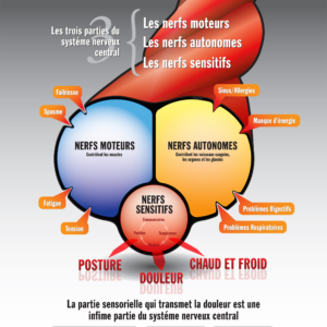 FEELING VS. FUNCTION - French Translation - Pad (100 Sheets per Pad)