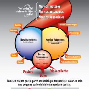 FEELING VS. FUNCTION - Spanish Translation - Pad (100 Sheets per Pad)
