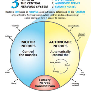 FEELING VS. FUNCTION - ORIGINAL - English Translation - Poster (18"x24")
